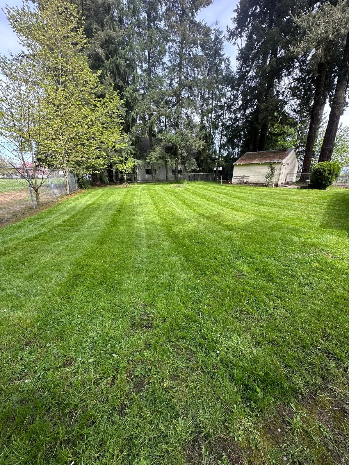 Twins Lawn Service project photo 6