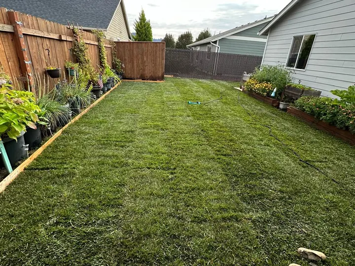 Sod Installation by Twins Lawn Service