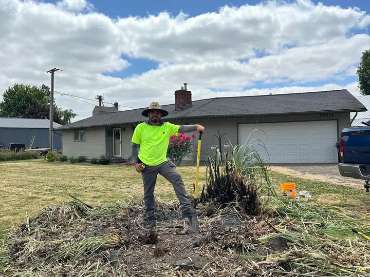 Yard Cleanup by Twins Lawn Service