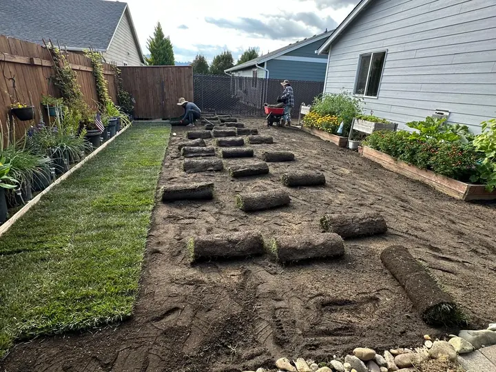 Sod Installation by Twins Lawn Service